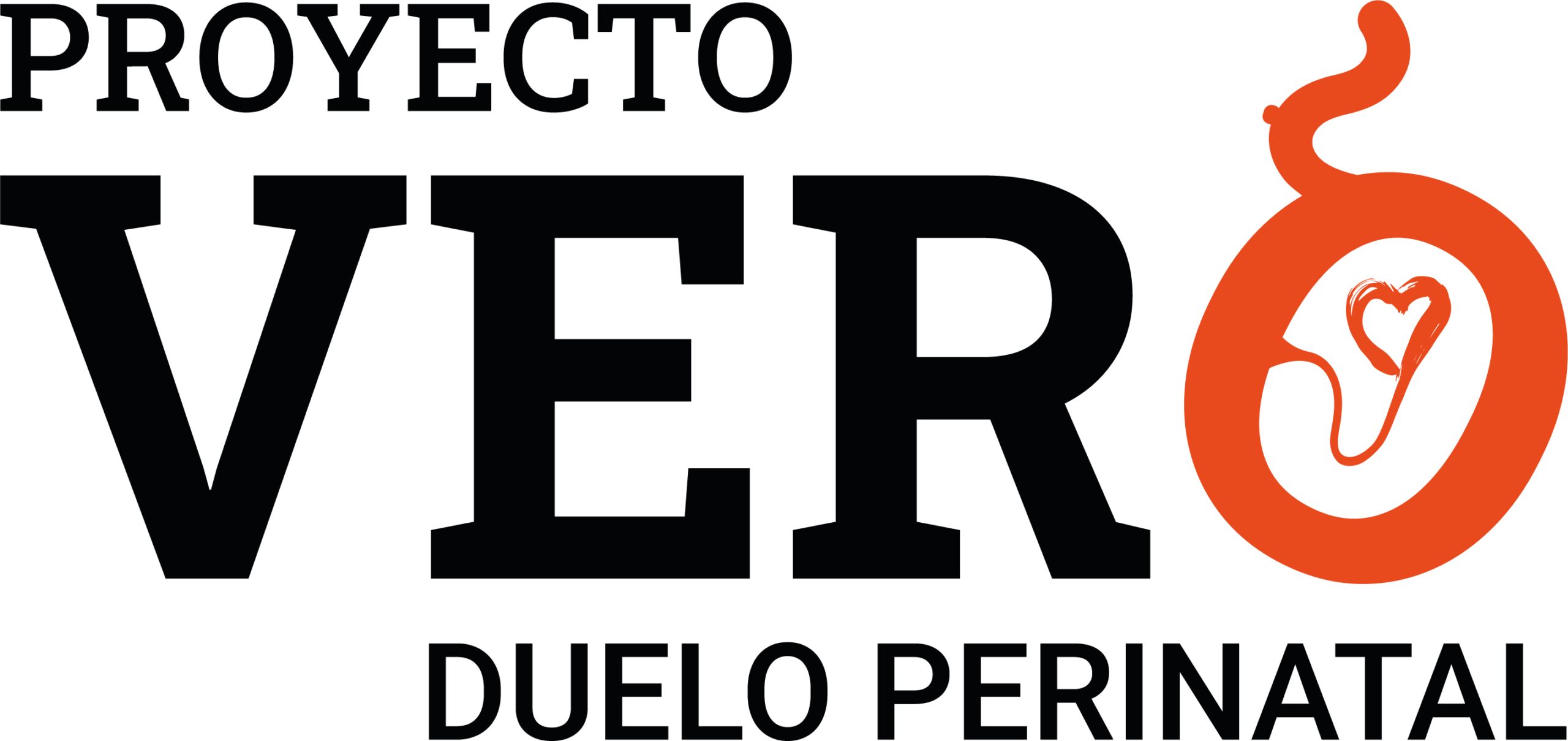 PROYECTO VERO